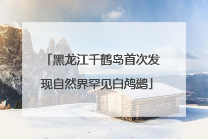 黑龙江千鹤岛首次发现自然界罕见白鸬鹚