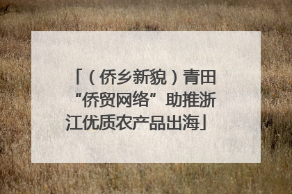 （侨乡新貌）青田“侨贸网络”助推浙江优质农产品出海
