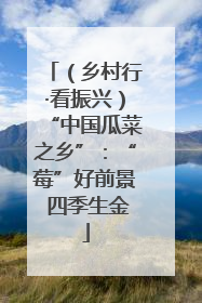 （乡村行·看振兴）“中国瓜菜之乡”：“莓”好前景 四季生金