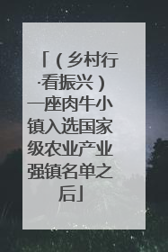 （乡村行·看振兴）一座肉牛小镇入选国家级农业产业强镇名单之后
