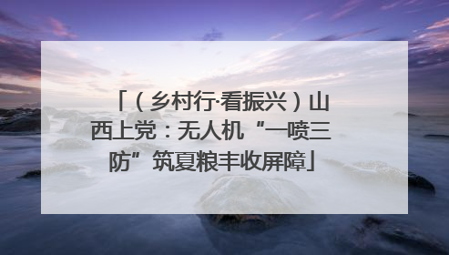 （乡村行·看振兴）山西上党：无人机“一喷三防”筑夏粮丰收屏障