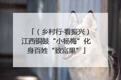 （乡村行·看振兴）江西铜鼓“小杨梅”化身百姓“致富果”
