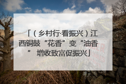 （乡村行·看振兴）江西铜鼓“花香”变“油香” 增收致富促振兴