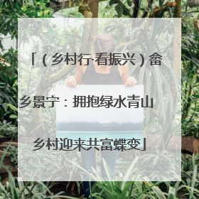 （乡村行·看振兴）畲乡景宁：拥抱绿水青山 乡村迎来共富蝶变