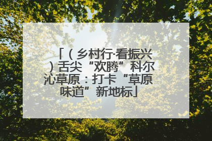 （乡村行·看振兴）舌尖“欢腾”科尔沁草原：打卡“草原味道”新地标