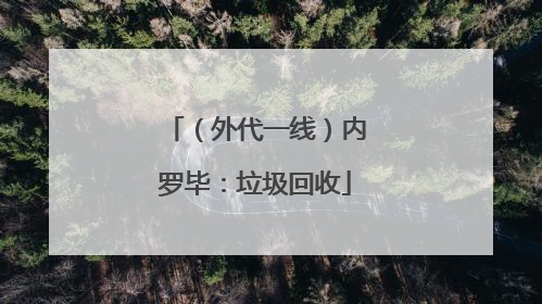 （外代一线）内罗毕：垃圾回收