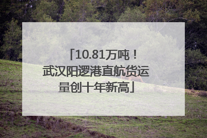 10.81万吨！武汉阳逻港直航货运量创十年新高