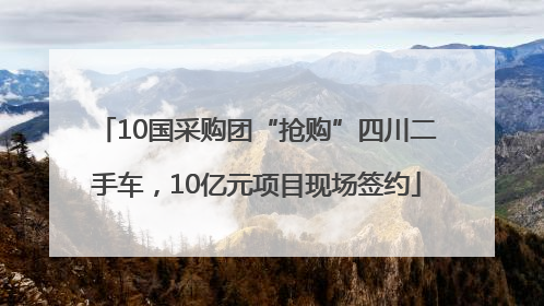 10国采购团“抢购”四川二手车，10亿元项目现场签约