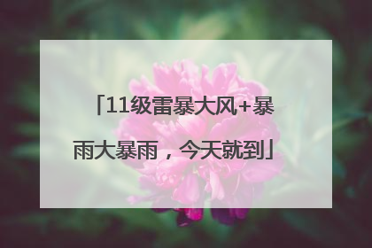 11级雷暴大风+暴雨大暴雨，今天就到