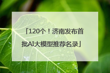 120个！济南发布首批AI大模型推荐名录