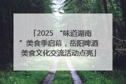 2025 “味道湖南”美食季启幕，岳阳啤酒美食文化交流活动点亮