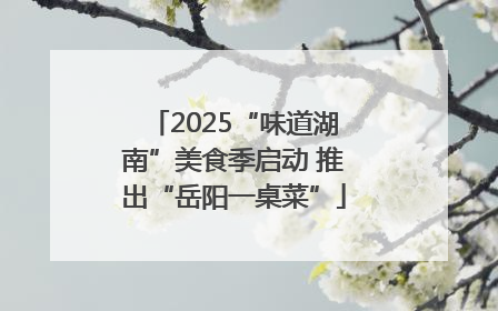 2025“味道湖南”美食季启动 推出“岳阳一桌菜”
