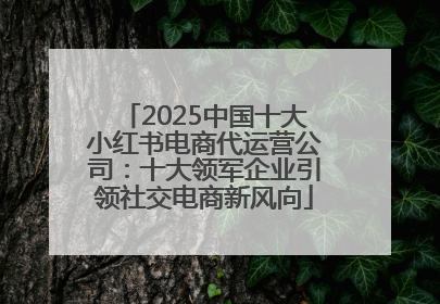 2025中国十大小红书电商代运营公司：十大领军企业引领社交电商新风向