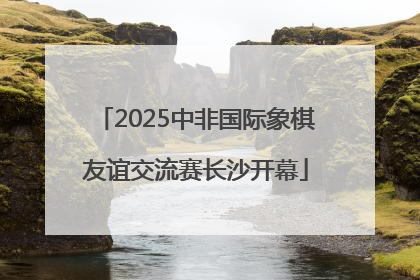 2025中非国际象棋友谊交流赛长沙开幕