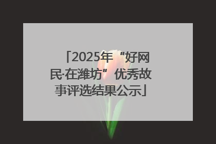 2025年“好网民·在潍坊”优秀故事评选结果公示