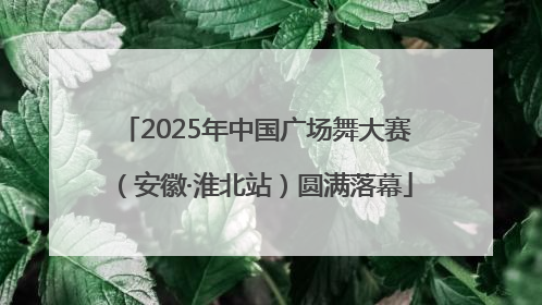 2025年中国广场舞大赛（安徽·淮北站）圆满落幕