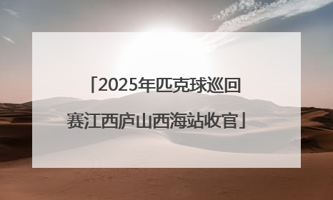 2025年匹克球巡回赛江西庐山西海站收官