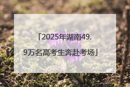 2025年湖南49.9万名高考生奔赴考场