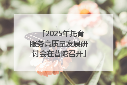 2025年托育服务高质量发展研讨会在普陀召开
