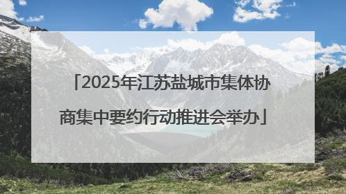 2025年江苏盐城市集体协商集中要约行动推进会举办
