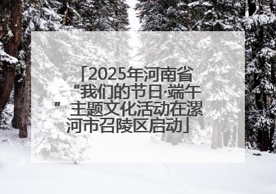 2025年河南省“我们的节日·端午”主题文化活动在漯河市召陵区启动