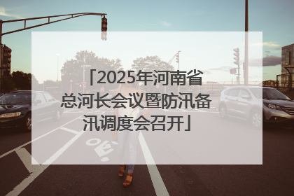 2025年河南省总河长会议暨防汛备汛调度会召开