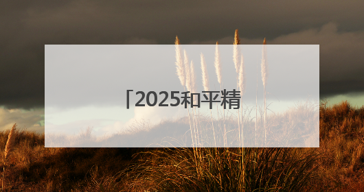 2025和平精英城市赛总决赛在岳阳市圆满落幕