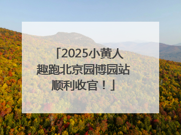 2025小黄人趣跑北京园博园站顺利收官！