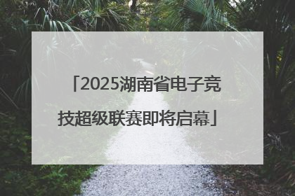 2025湖南省电子竞技超级联赛即将启幕