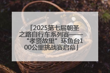2025第七届朝圣之路自行车系列赛——“孝贤故里”环鱼台100公里挑战赛启幕