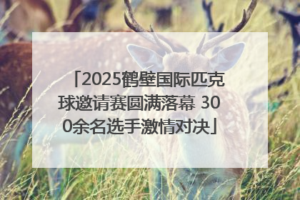 2025鹤壁国际匹克球邀请赛圆满落幕 300余名选手激情对决