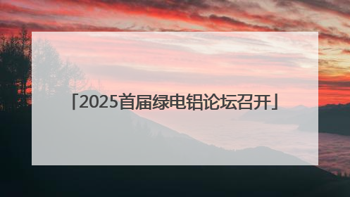 2025首届绿电铝论坛召开