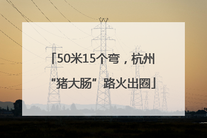 50米15个弯，杭州“猪大肠”路火出圈