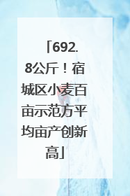 692.8公斤！宿城区小麦百亩示范方平均亩产创新高