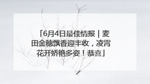 6月4日最佳情报｜麦田金穗飘香迎丰收，凌霄花开娇艳多姿！恭喜