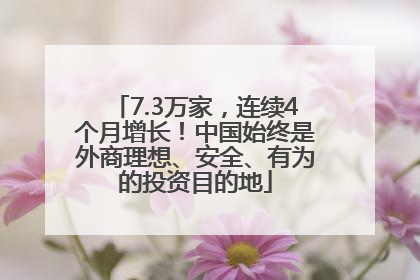 7.3万家，连续4个月增长！中国始终是外商理想、安全、有为的投资目的地