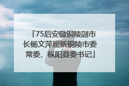 75后安徽铜陵副市长杨文萍履新铜陵市委常委、枞阳县委书记