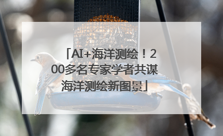 AI+海洋测绘！200多名专家学者共谋海洋测绘新图景