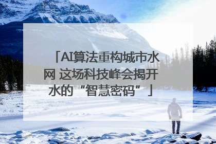 AI算法重构城市水网 这场科技峰会揭开水的“智慧密码”