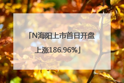 N海阳上市首日开盘上涨186.96%