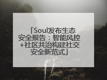 Soul发布生态安全报告：智能风控+社区共治构建社交安全新范式